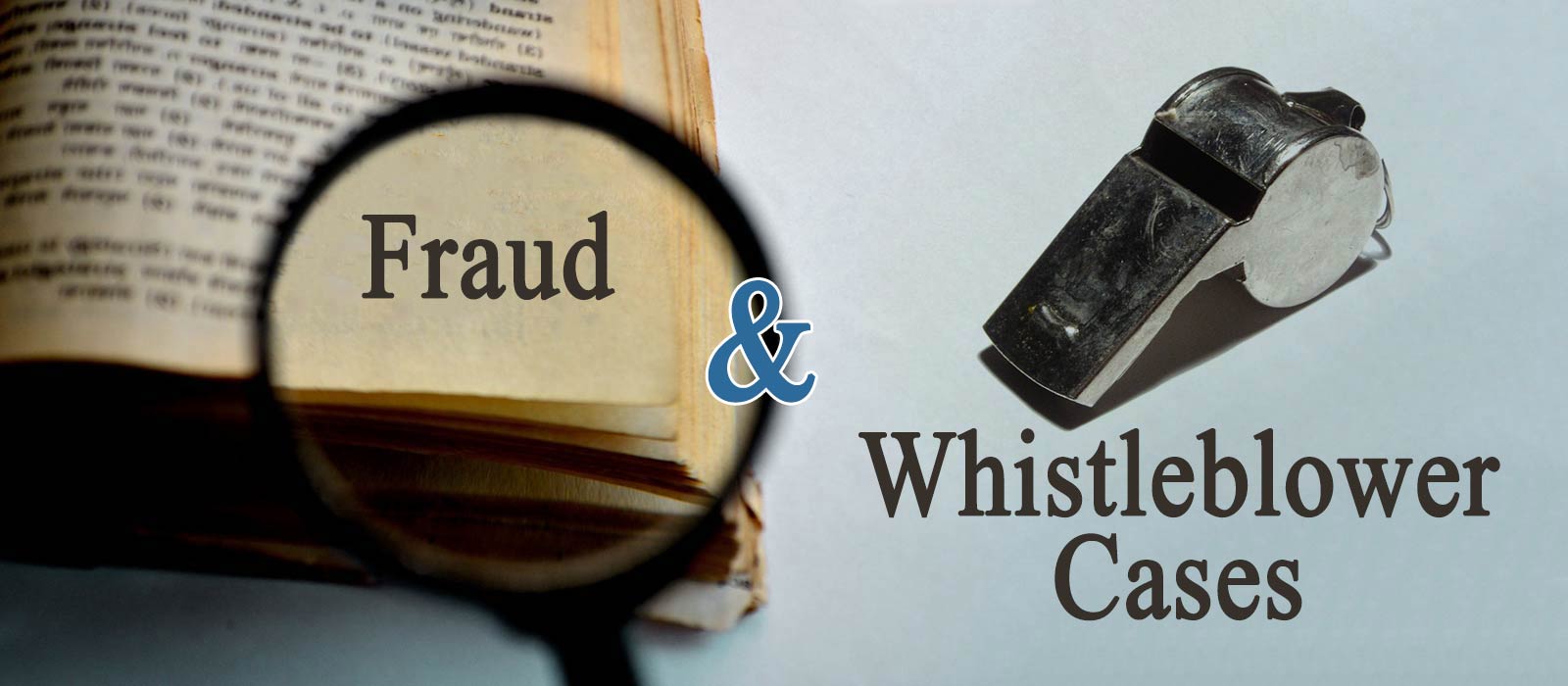 fraud5 Fraud and Whistleblower Cases